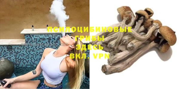 MDMA Premium VHQ Богородицк